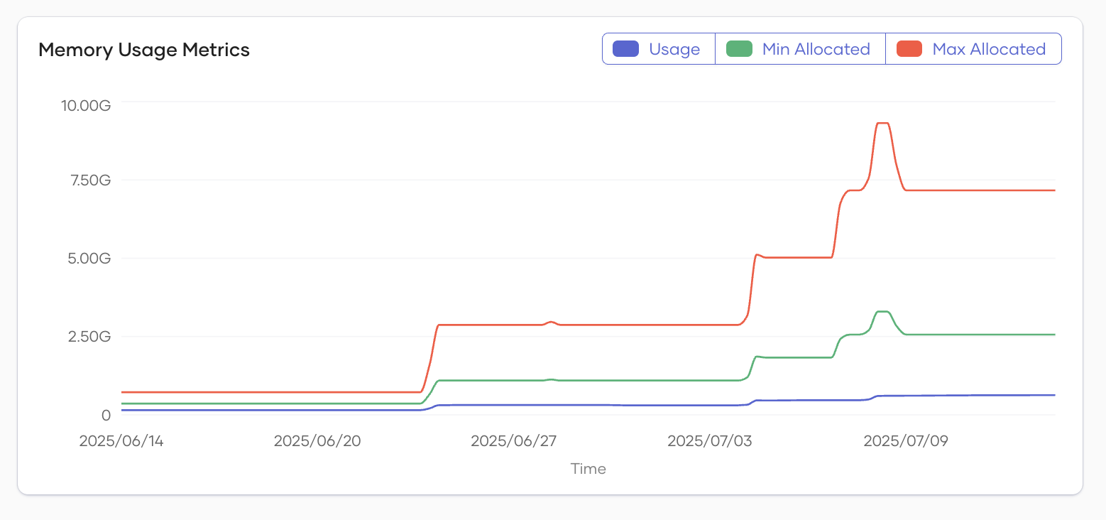 Memory Usage Metrics